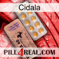 Cidala 41